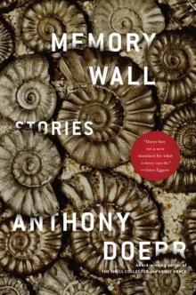      Memory Wall