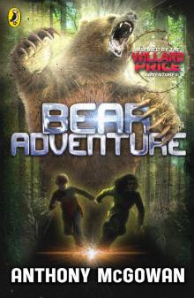      Bear Adventure