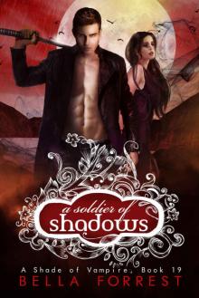      A Soldier of Shadows