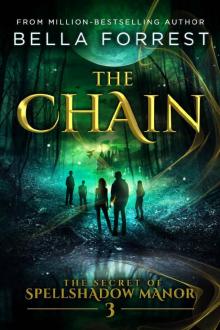      The Chain