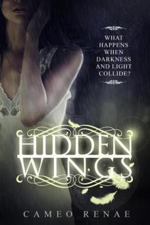      Hidden Wings