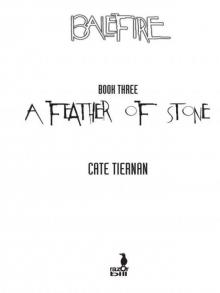      A Feather of Stone