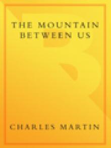      The Mountain Between Us