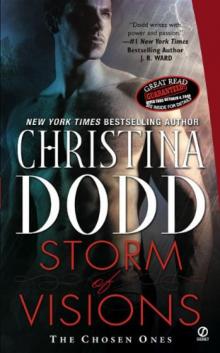      Storm of Visions