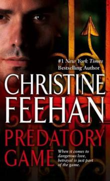      Predatory Game