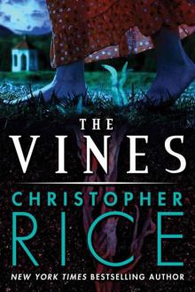      The Vines
