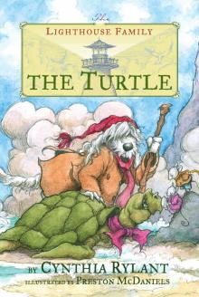      The Turtle