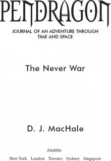     The Never War