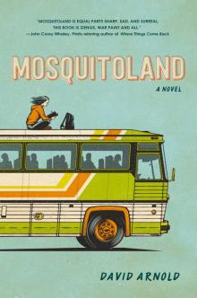     Mosquitoland