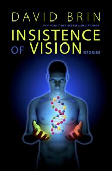      Insistence of Vision