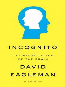      Incognito