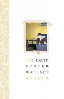      The David Foster Wallace Reader