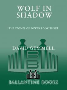      Wolf in Shadow