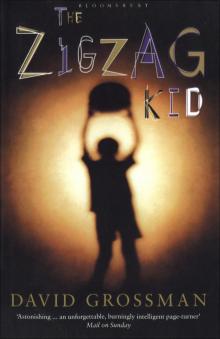     The Zigzag Kid
