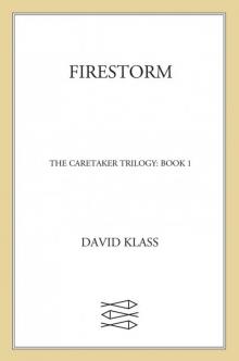      Firestorm