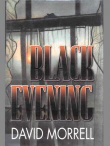      Black Evening