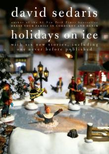      Holidays on Ice