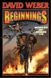      Beginnings