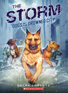      The Storm