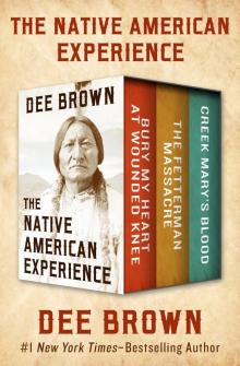      The Native American Experience