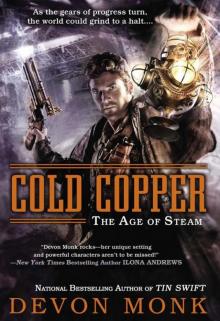      Cold Copper: The Age of Steam
