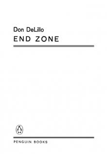      End Zone
