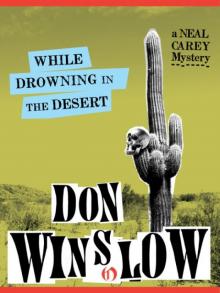      While Drowning in the Desert