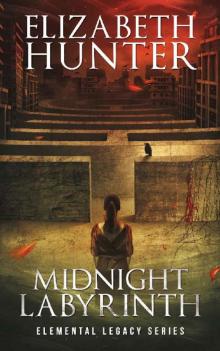      Midnight Labyrinth