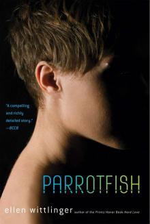      Parrotfish
