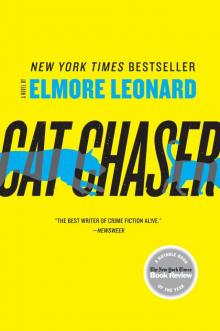      Cat Chaser