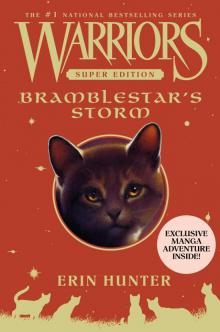      Bramblestar's Storm