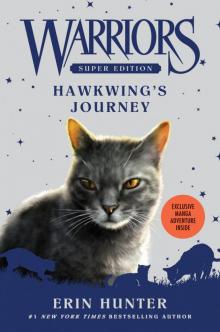      Hawkwing's Journey