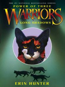      Long Shadows