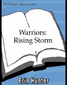      Rising Storm