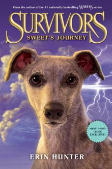      Survivors: Sweet's Journey