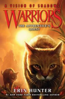      The Apprentice's Quest