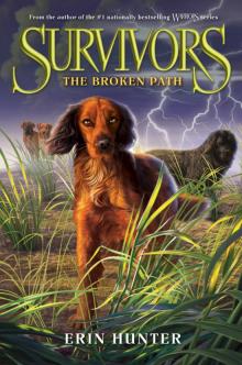      The Broken Path