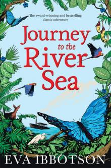      Journey to the River Sea