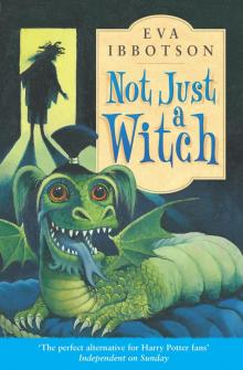      Not Just a Witch