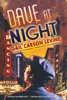      Dave at Night