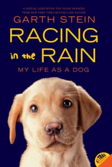     The Art of Racing in the Rain