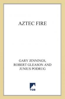      Aztec Fire