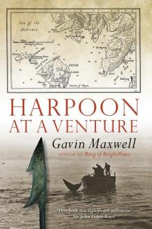      Harpoon at a Venture