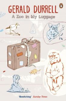      A Zoo in My Luggage