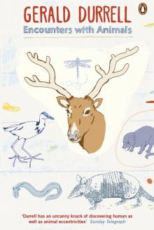      Encounters With Animals