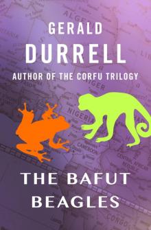      The Bafut Beagles