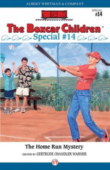      The Home Run Mystery