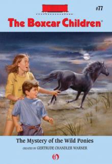      The Mystery of the Wild Ponies
