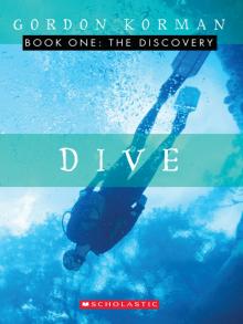     The Discovery