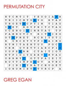      Permutation City